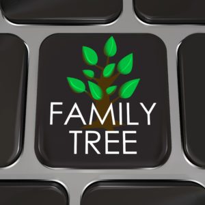 A computer keyboard key with the words Family Tree and picture to symbolize researching your ancestor records on an online database